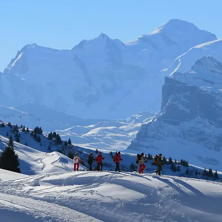 Le Gypaète Morillon